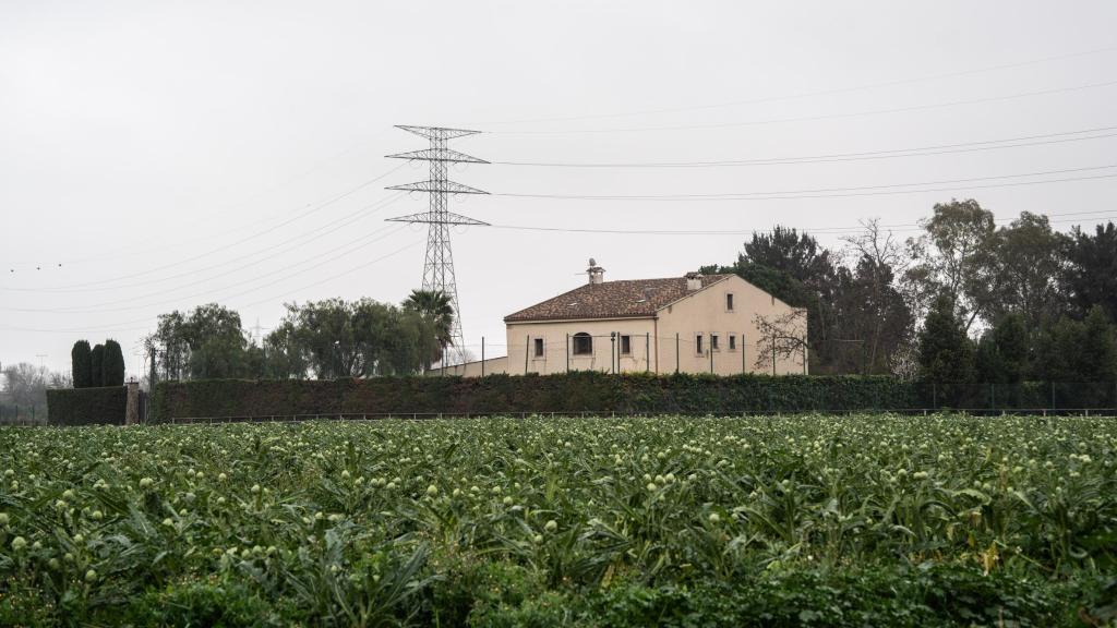 Una explotación agrícola en el Parc Agrari del Baix Llobregat
