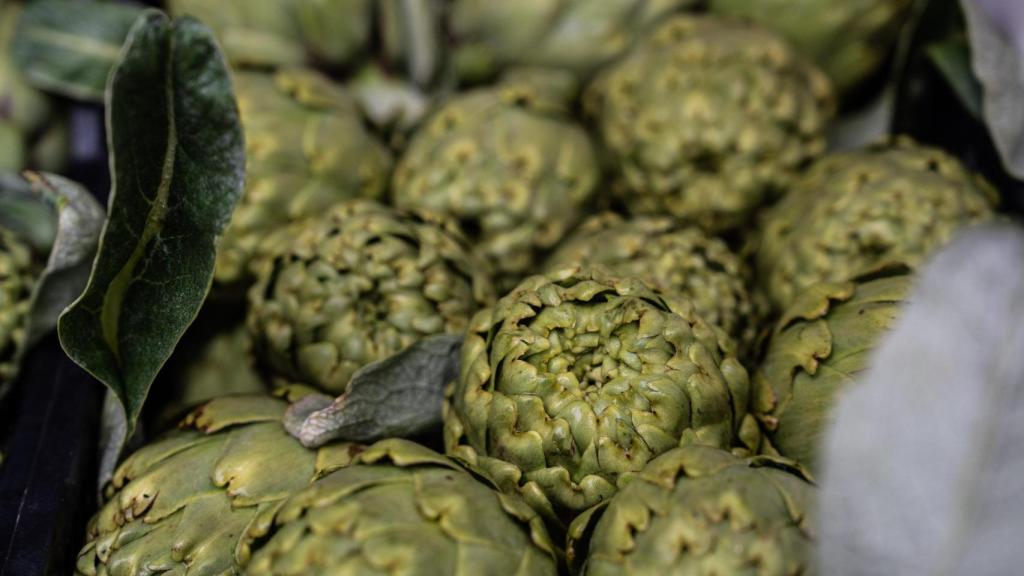 Alcachofas del Parc Agrari del Baix Llobregat
