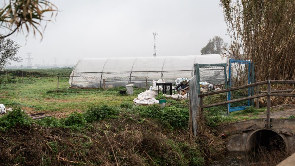 Terrenos del Parc Agrari del Baix Llobregat