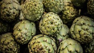 Las alcachofas, uno de los productos robados en el Parc Agrari del Baix Llobregat