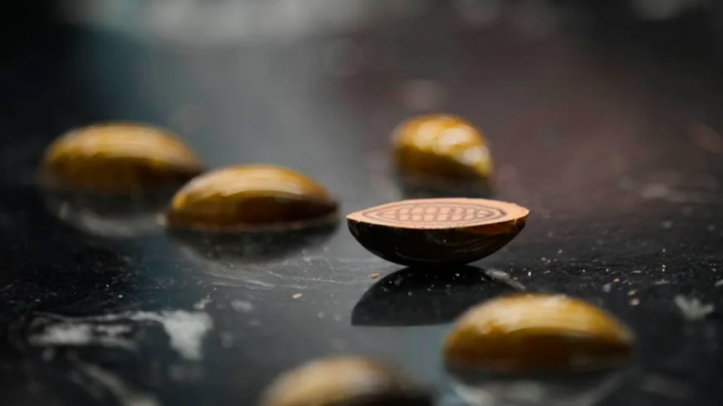 El mejor bombón de España, de la pastelería de Barcelona Hofmann