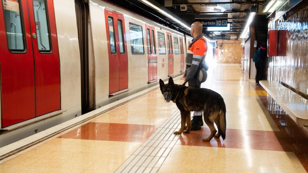 Unitat Canina K-9 de Securitas al metro de Barcelona