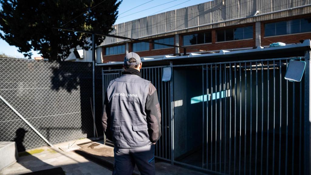 Algunes de les gàbies on viuen els gossos vigilants del metro de Barcelona
