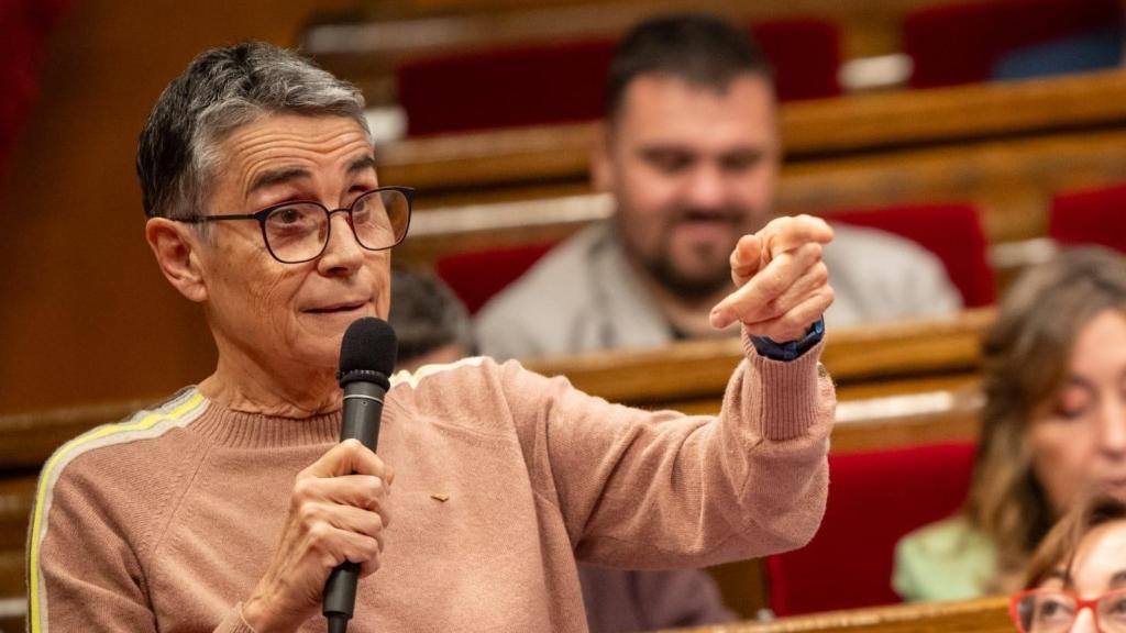 La 'consellera' de Salud, Olga Pané, en el Parlament, en una imagen de archivo