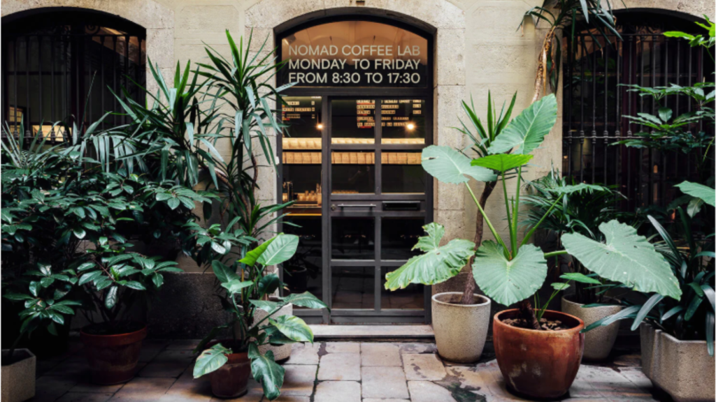 NOMAD Coffe Lab