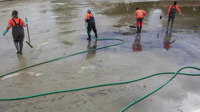 Poceso de renovación del lago de Can Zam