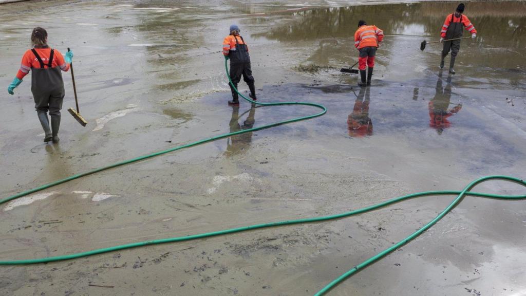 Poceso de renovación del lago de Can Zam