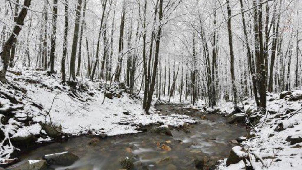 Las fotos de la nevada en el Montseny