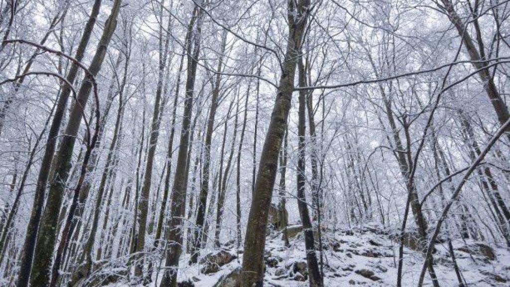 Fotos de la nevada en el macizo del Montseny