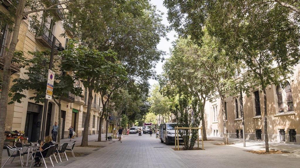 Un tramo del eje verde de la calle de Consell de Cent