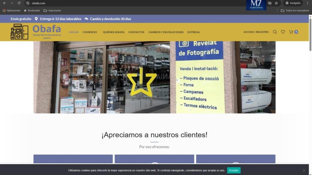Imatge de la pàgina web fraudulenta