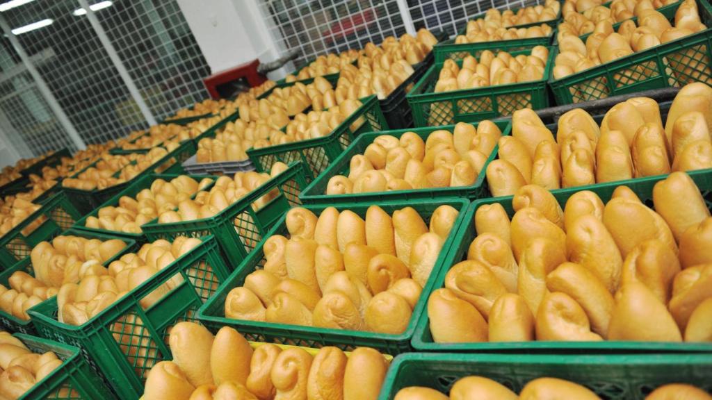 Barras de pan en cajas