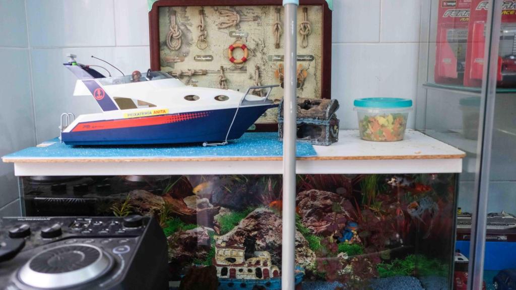 Decoració de la Pescaderia Anita