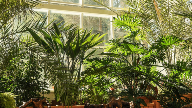 Tienda física de Plantes Pour Tous, en Francia