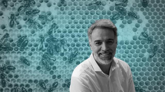 Jordi Campalans, director de Granja San Francisco, junto a un panal de abejas