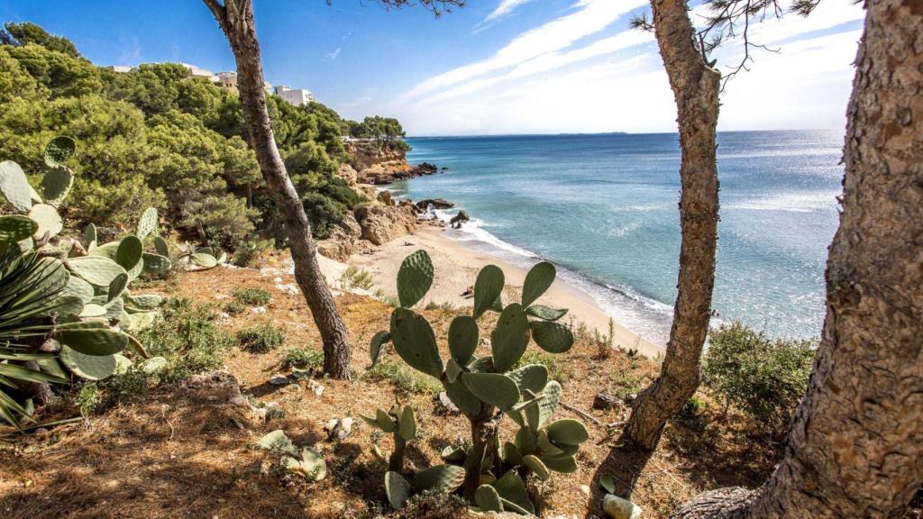 Playa de Miami Platja