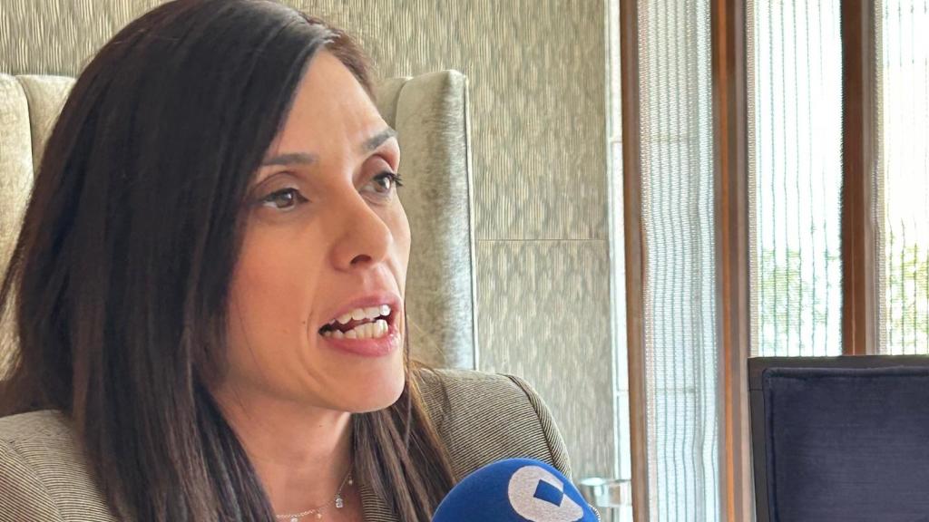 La diputada socialista Elena Díaz