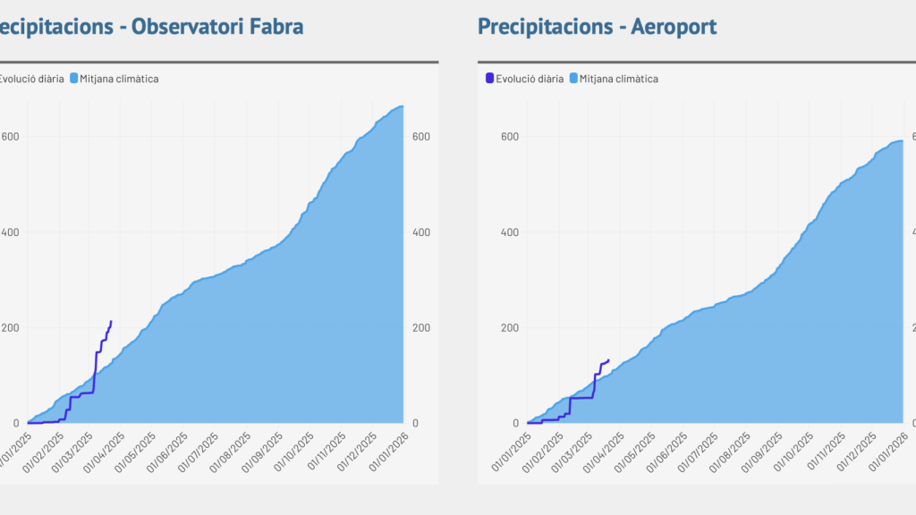Gráficas de evolución de las precipitaciones en este 2025 respecto a la media climática