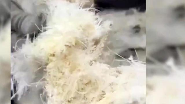 Cocaína oculta en una silla de montar a caballo