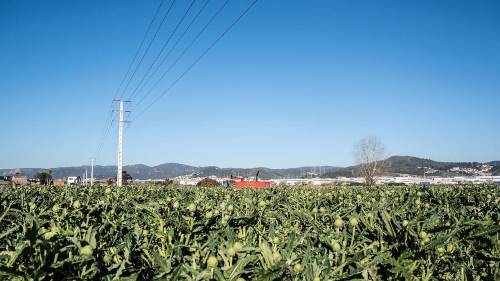 Parc Agrari del Baix Llobregat