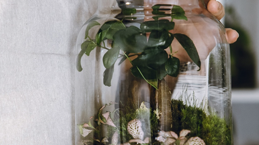 Imagen de archivo anunciado el festival en la cuenta de Instagram @florsalmercat