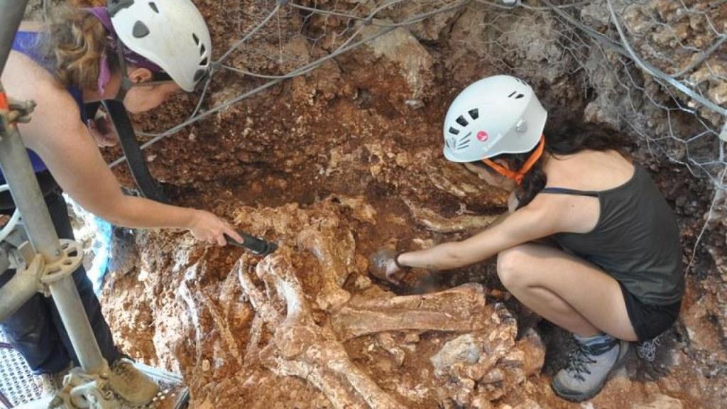 Arqueòlegs a la Cova del Rinoceront a Castelldefels