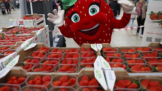 Barcelona veta la promoción de las fresas de Huelva por “criterios estéticos”