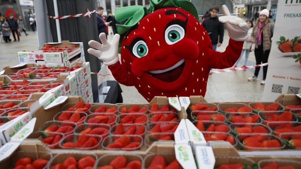 Barcelona veta la promoción de las fresas de Huelva por “criterios estéticos”