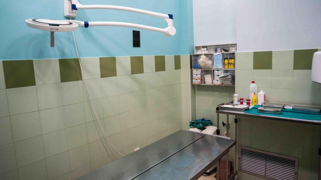 La clínica veterinària de Ruth Fargas, a Sant Adrià