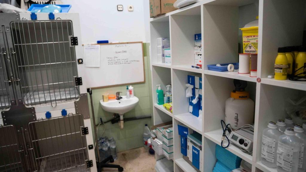 La clínica veterinària de Ruth Fargas, a Sant Adrià