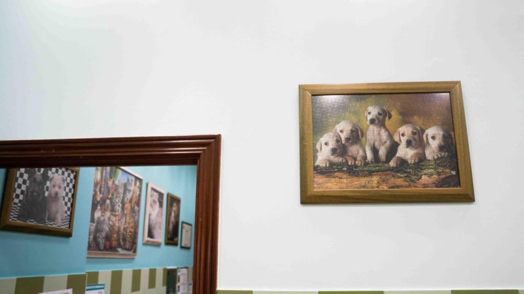 La clínica veterinària de Ruth Fargas, a Sant Adrià