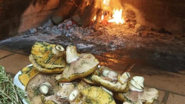 Imagen de archivo de la cuenta de Instagram del Bar Pubill