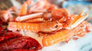 Balcó Gastronòmic: un nuevo espacio gastronómico con vistas al Mediterráneo