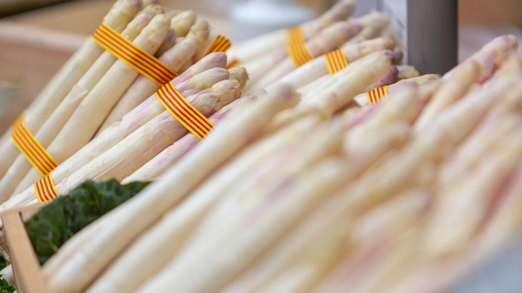 Espárragos de la Fira dels Espàrrecs de Gavà