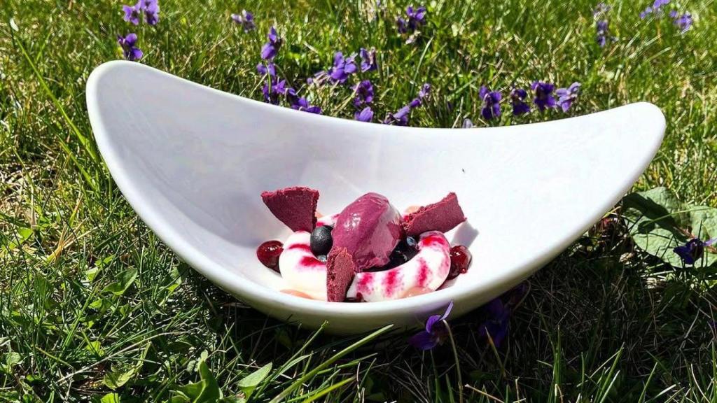 Ricotta con arándanos, remolacha, pimienta rosa y helado de cassis
