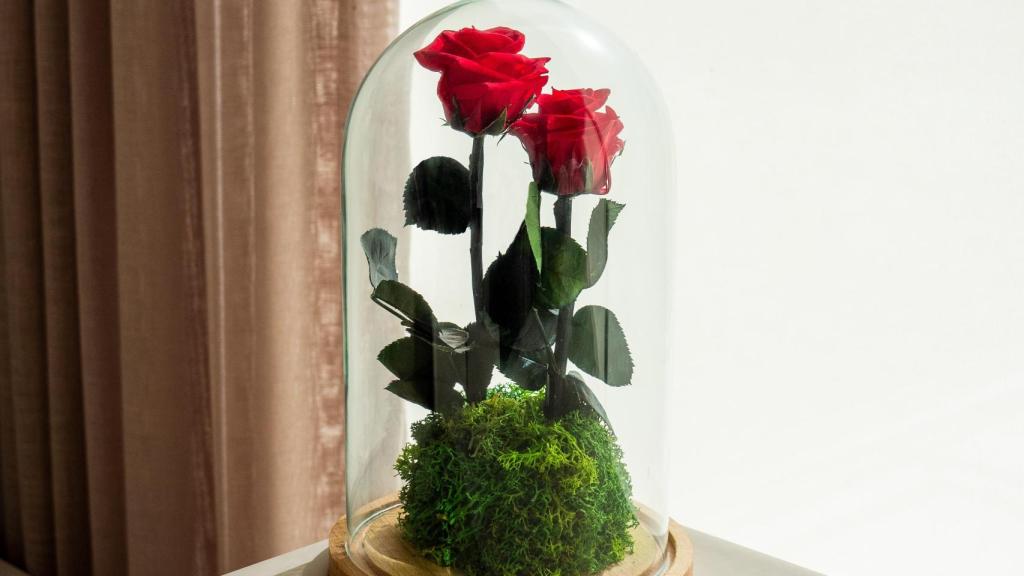 Rosa Dubaru, una de las rosas eternas de Omotesandō Plants