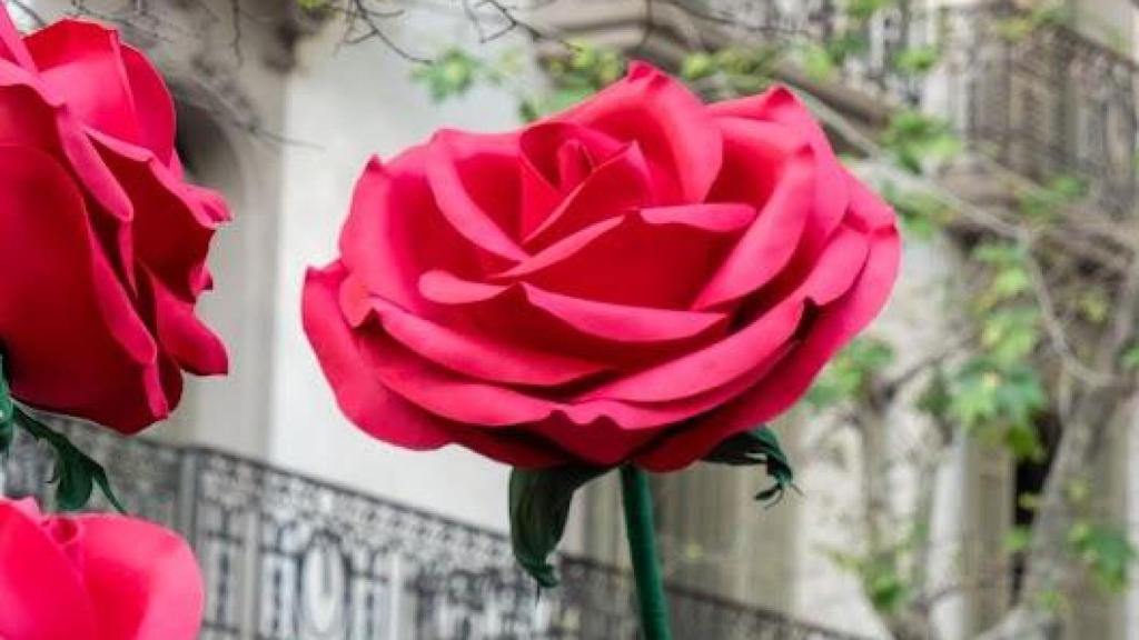 Pop-up de Omotesandō Plants en La Rambla de Barcelona