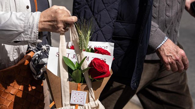 Sant Jordi 2025