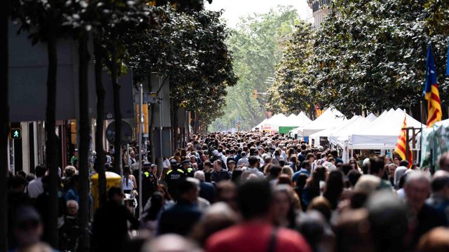 Diada de Sant Jordi de 2025