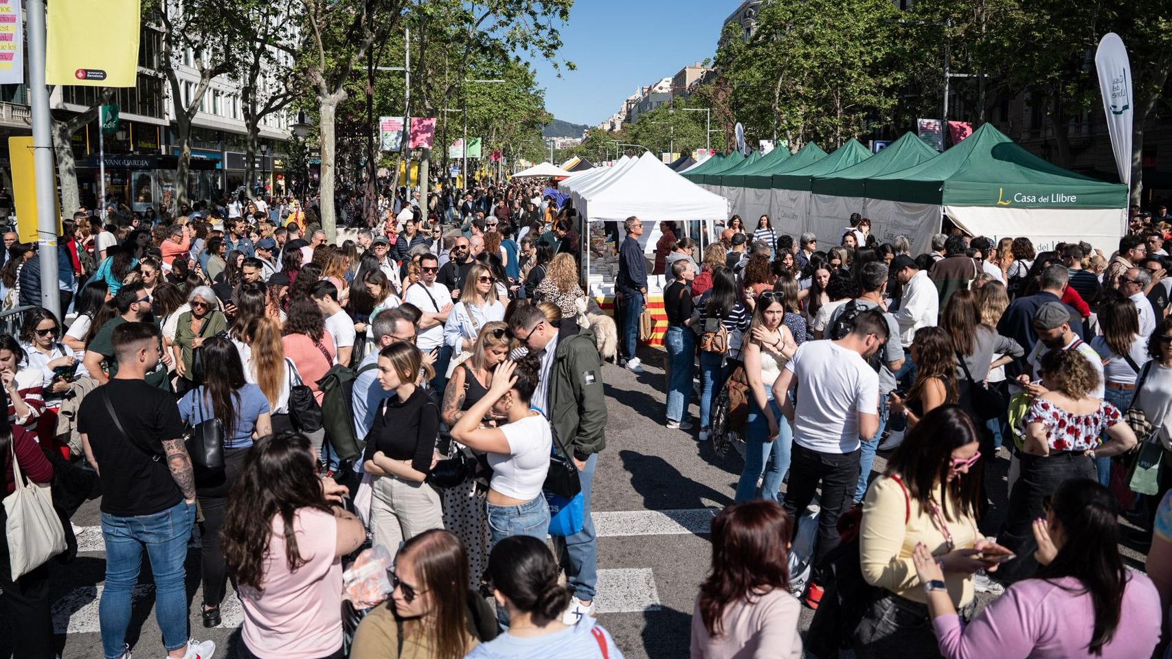 Imagen del día de Sant Jordi en 2025