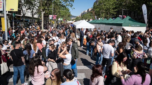 Imagen del día de Sant Jordi en 2025
