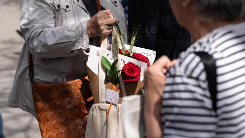 Rosas de Sant Jordi Maria Ponsa Flors
