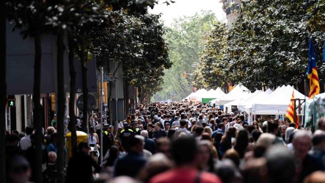 Diada de Sant Jordi de 2025