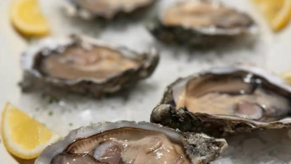 Imatge d'un plat del restaurant 5 germans de Nou Barris