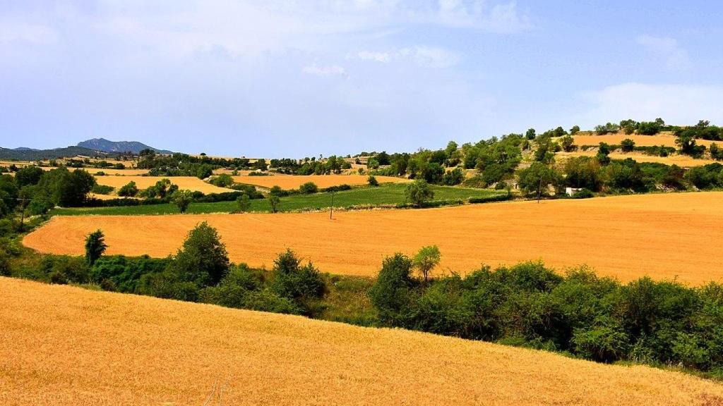 Campos de cereal de Santa Coloma de Queralt