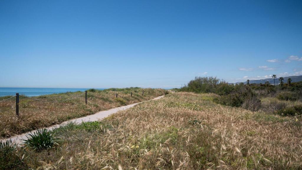 Dunas artificiales de la playa de Gavà