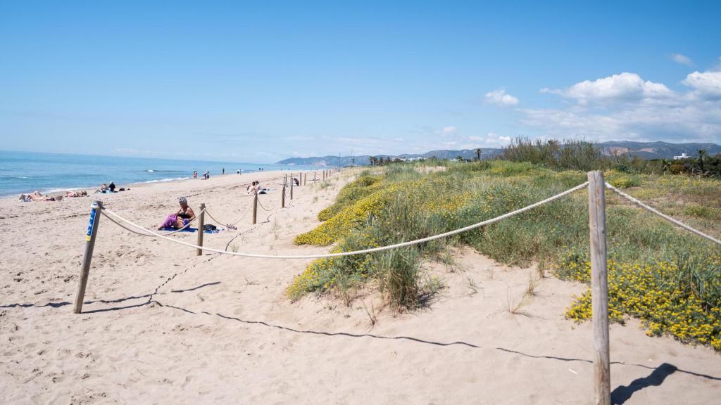 Banyistes a la platja de Gavà