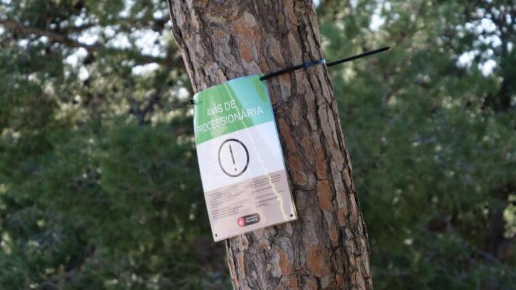 Cartells d'avís de presència de processionària del pi a Barcelona
