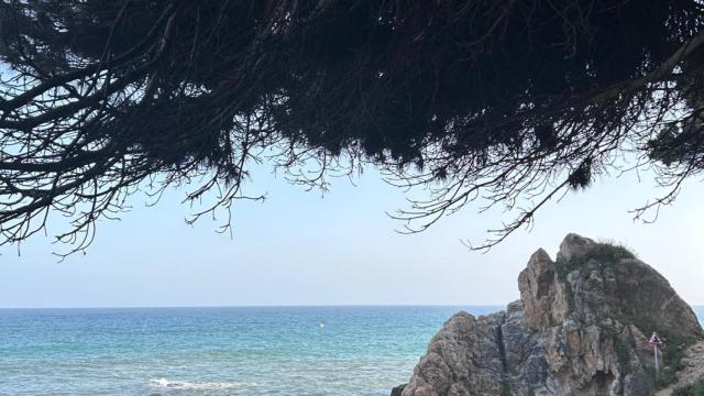 Cala Grossa, Sant Pol de Mar