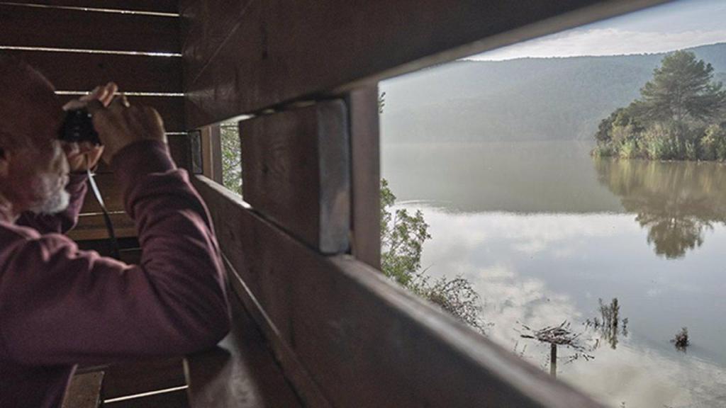 Archivo - Observatorio ornitológico borde el embalse de Foix